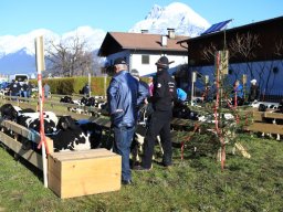 2019_ausstellung polling_023